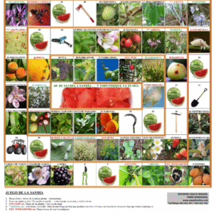 MARATÓN DE JUEGOS BOTÁNICOS Y MICOLÓGICOS. 2 h.