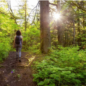 BAÑO DE BOSQUE. 3-4 horas