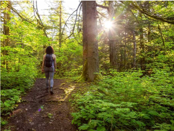 BAÑO DE BOSQUE. 3-4 horas