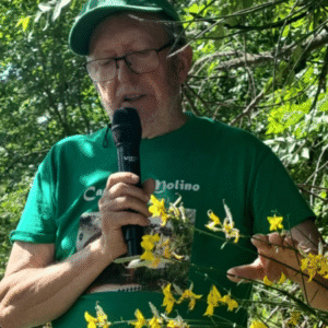 TALLER DE TAXONOMÍA O MORFOLOGÍA VEGETAL. 2 h.