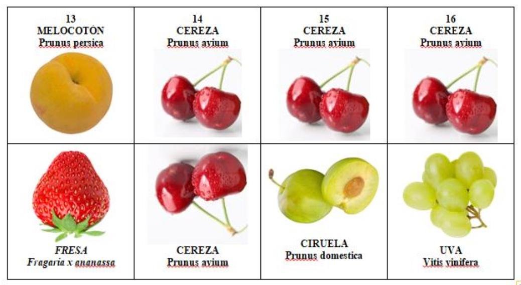 Dominó de frutas (3 juegos)